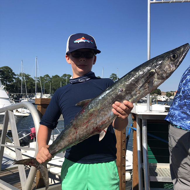 king mackerel